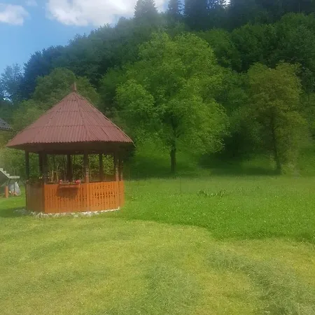 Cabana Plaiului Viseu de Sus Exterior photo