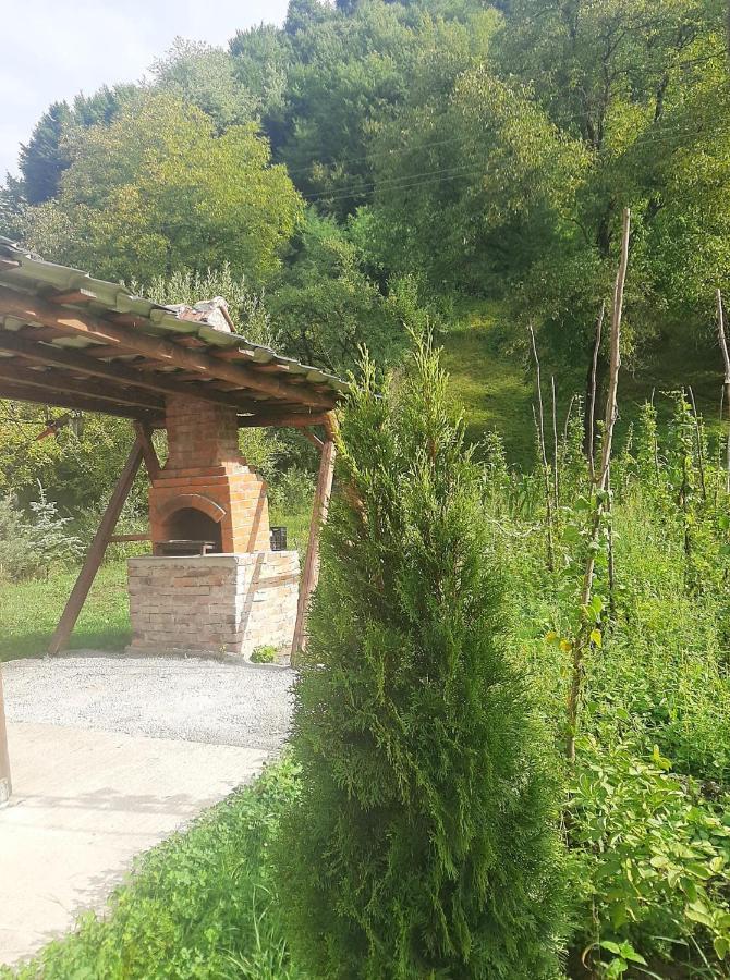 Holiday home Plaiului
