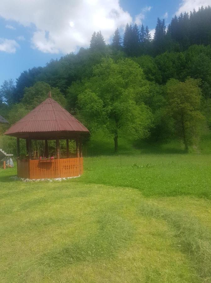 Plaiului